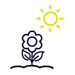 Groei naar het volgende niveau